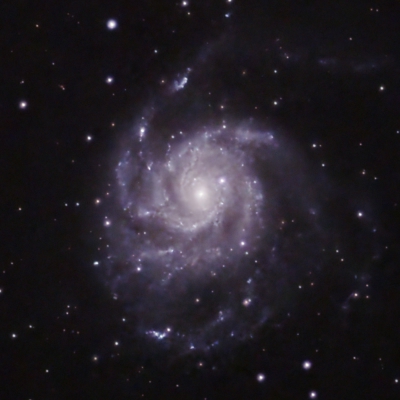 Pinwheel Galaxy M101 vom 27.04.2023