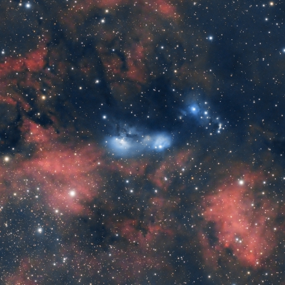 NGC6914, vdB131, vdB132 vom 08.07.2024