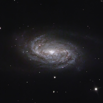 NGC2903 vom 04. und 05.03.2025