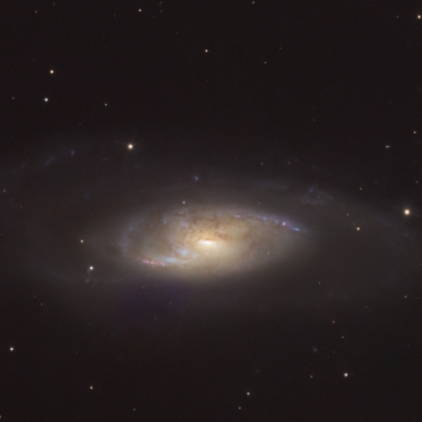 M106 vom 19.03.2026